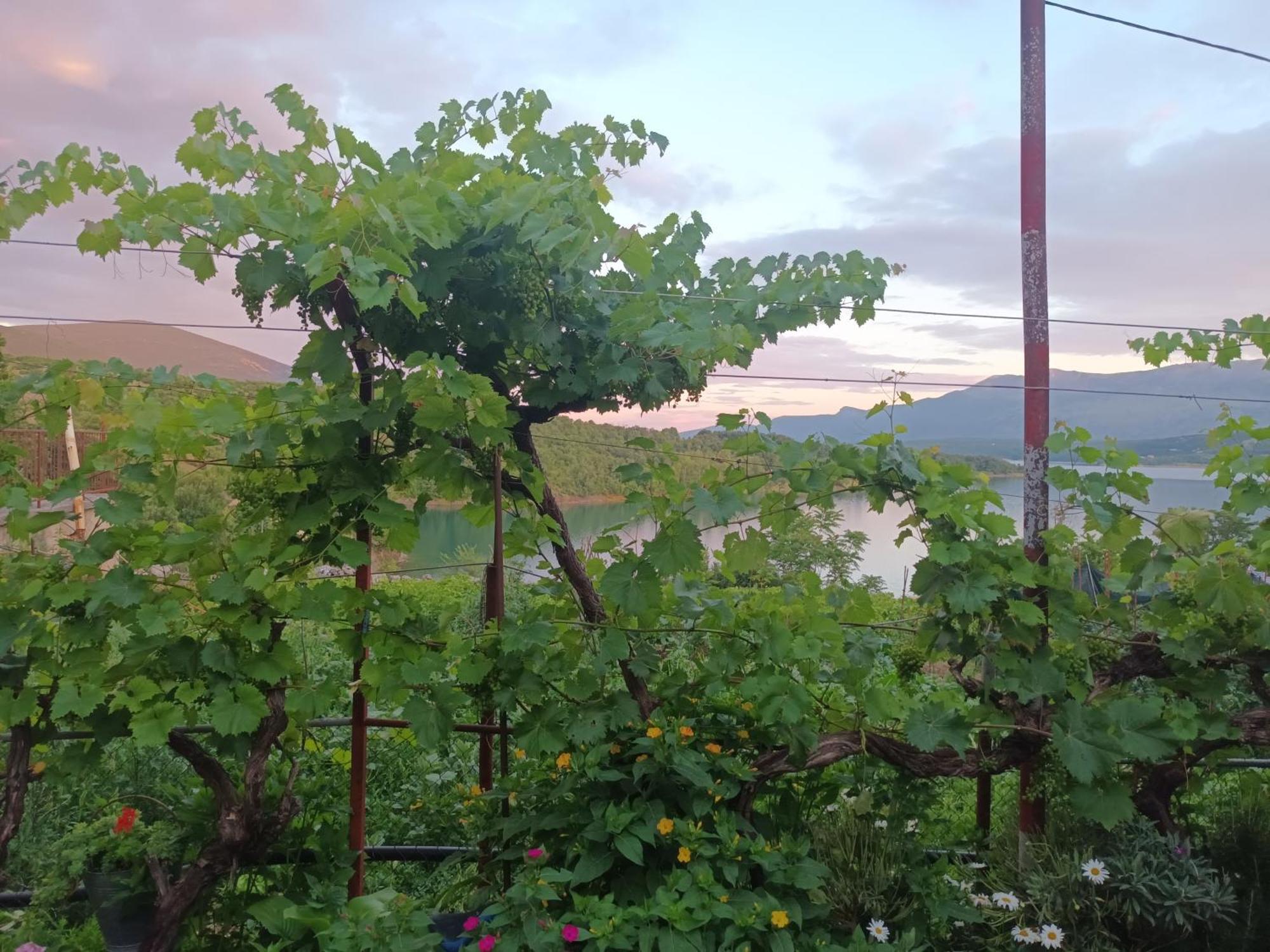 Brnara Kravarica Vrlika Εξωτερικό φωτογραφία